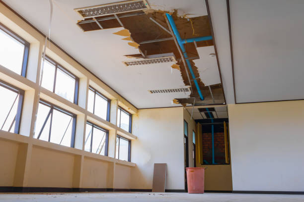 Best Fire Damage Restoration  in Koloa, HI