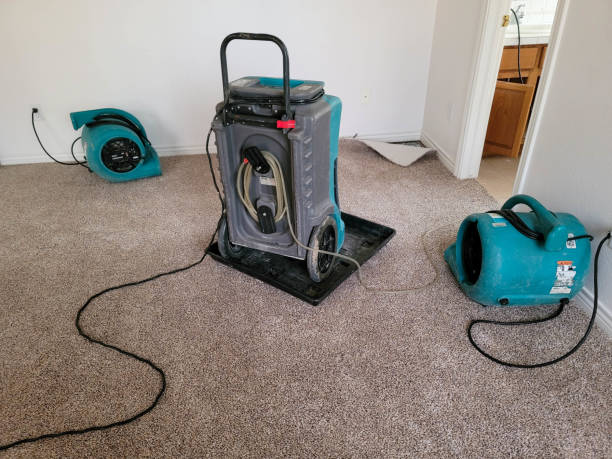 Best Basement water damage restoration  in Koloa, HI