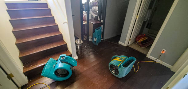 Best Water damage contractors near me  in Koloa, HI