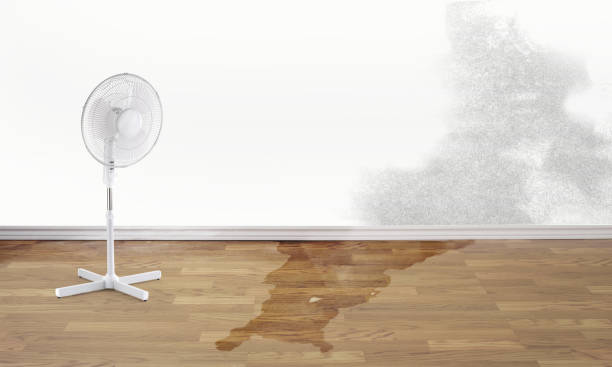 Trusted HI Water damage restoration Experts